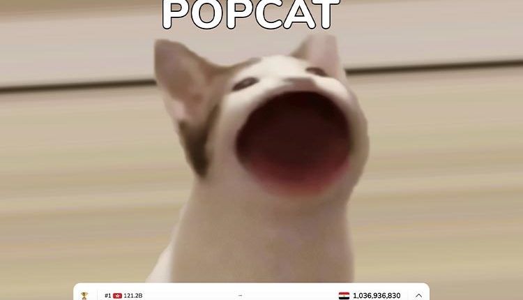 موقع popcat